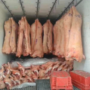 Carrocería de camión refrigerado para colgar en el techo de Meat Carass